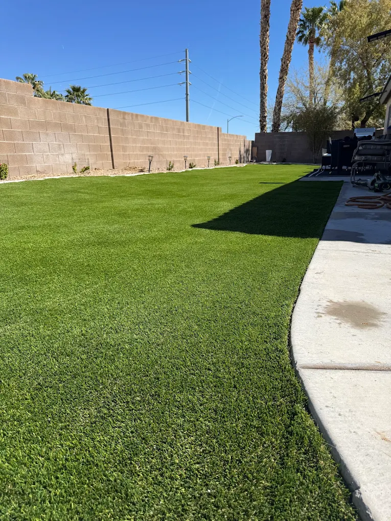 Clean artificial turf after professional service