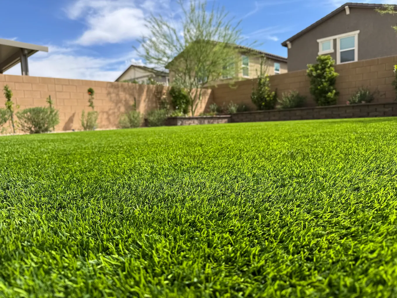 Turf cleaning result